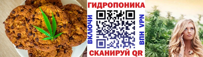 ссылка на мегу маркетплейс  купить   Зеленогорск  shop какой сайт  Cannafood марихуана 