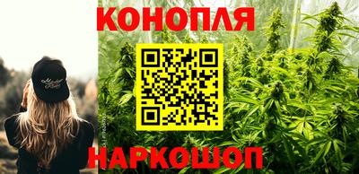 каннабис Будённовск