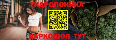 прущие грибы Дубна