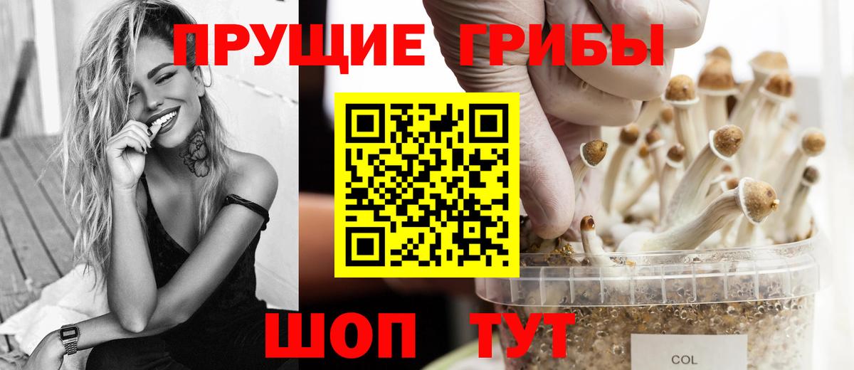 Псилоцибиновые грибы Cubensis  Галлюциногенные грибы мицелий  Зеленогорск  Вход с VPN 